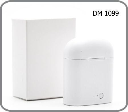 DM 1099