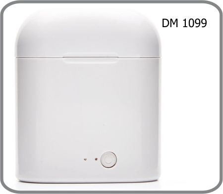 DM 1099
