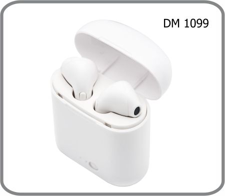 DM 1099