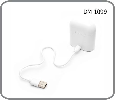 DM 1099