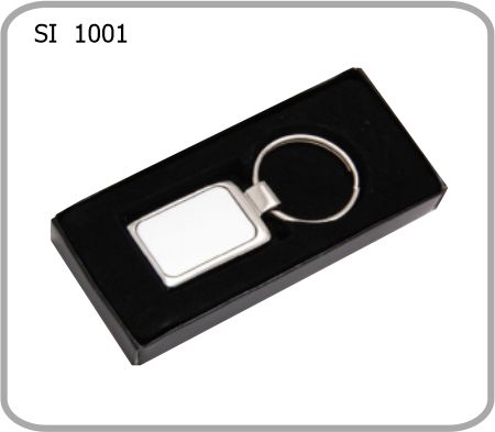 SI 1001