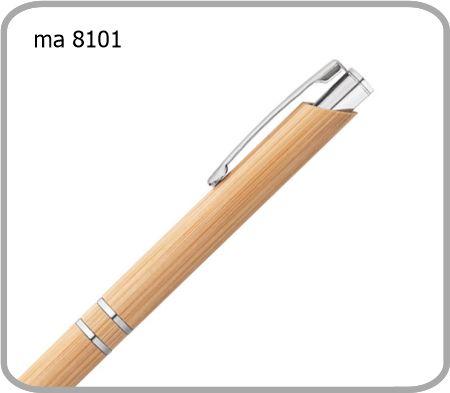 MA 8101