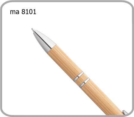 MA 8101